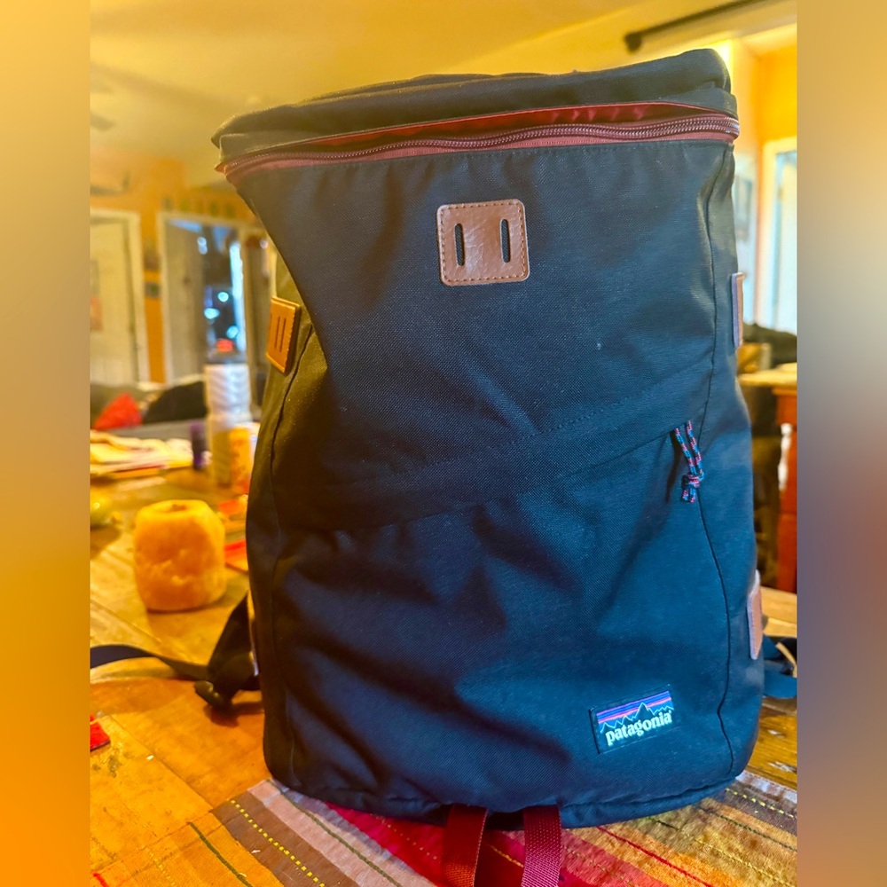 Patagonia Black Backpack